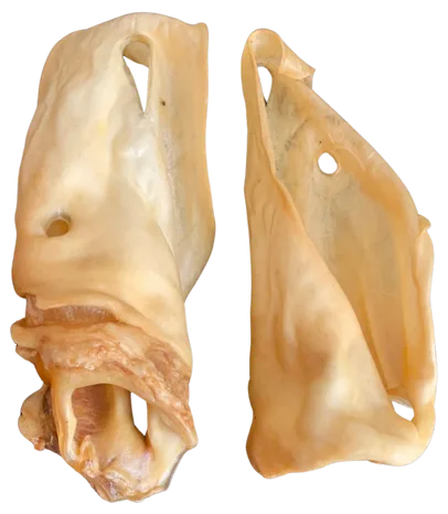 Single-ingredient natural dog chew
