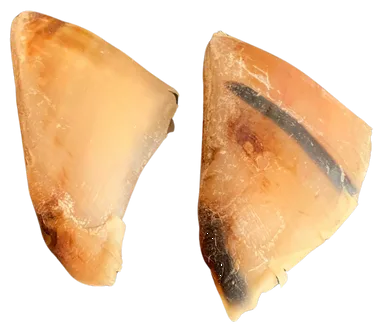 Single-ingredient natural dog chew