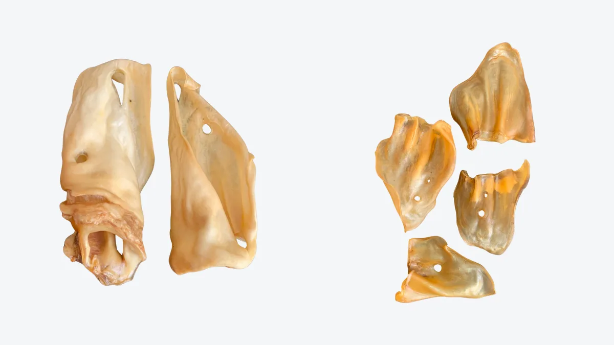Cow Ears vs Pig Ears for Dogs: What Wholesale Buyers Should Know