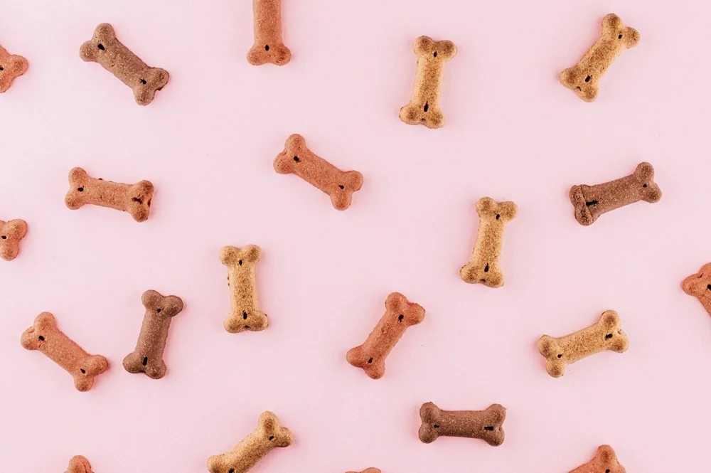 Edible functional dog chews and bites